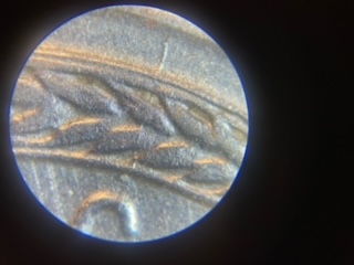 1943-Steel-Penny-Die-Crack-And-Doubling-On-The-Date